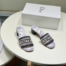 Christian Dior Slippers